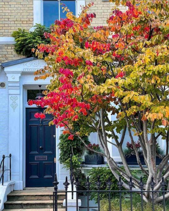 Chelsea Posh Apartment London Kültér fotó